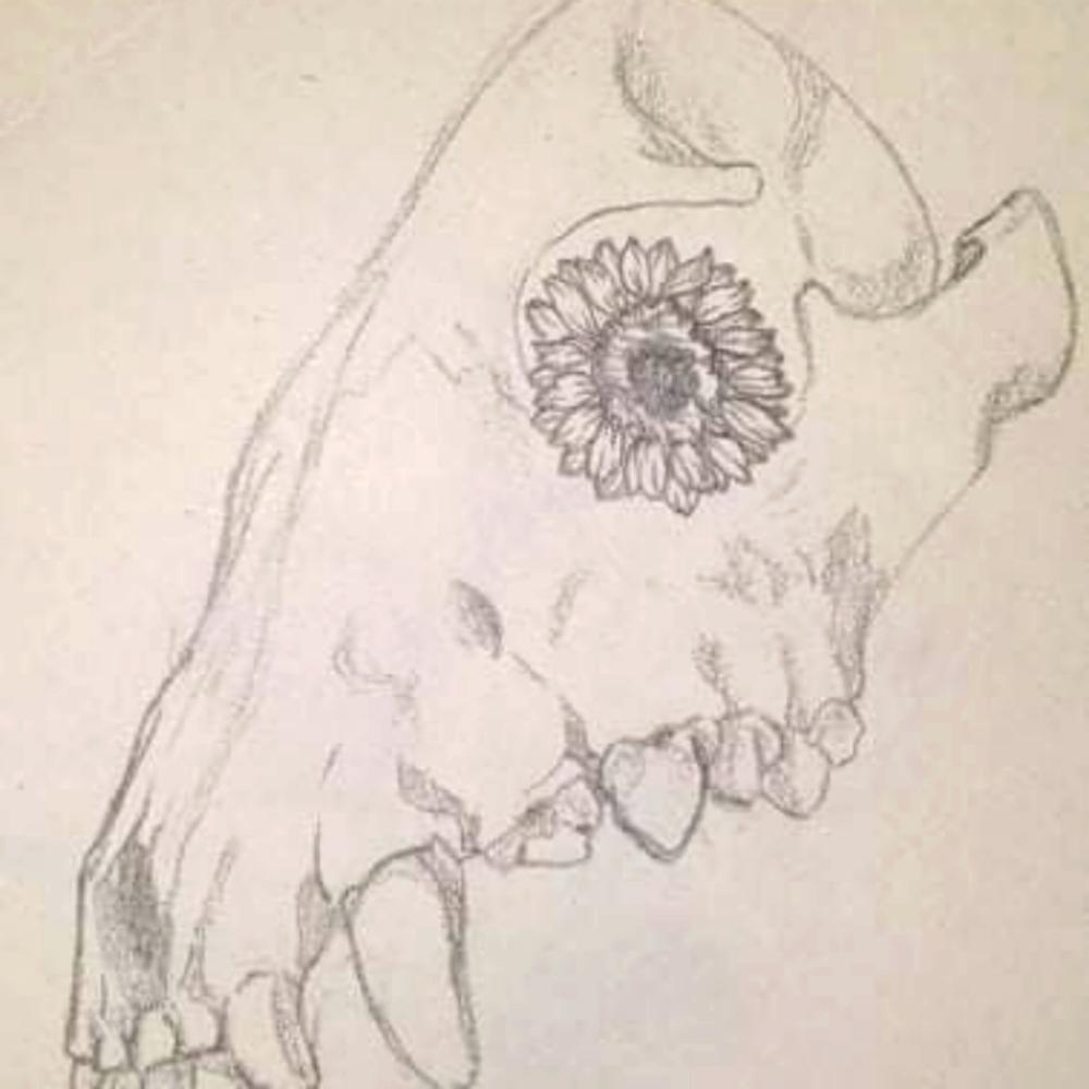 Sunflower eye